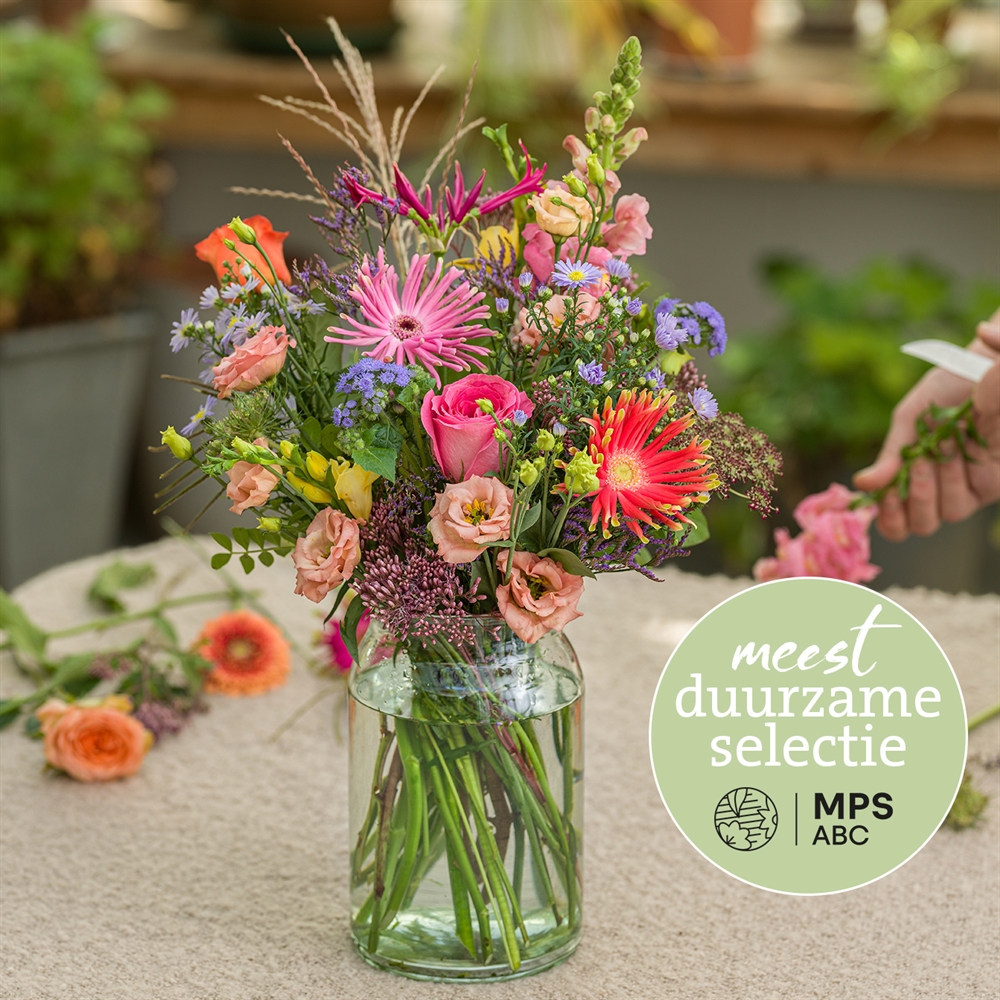 Groen Gekeurd pluk Groen Gekeurd pluk